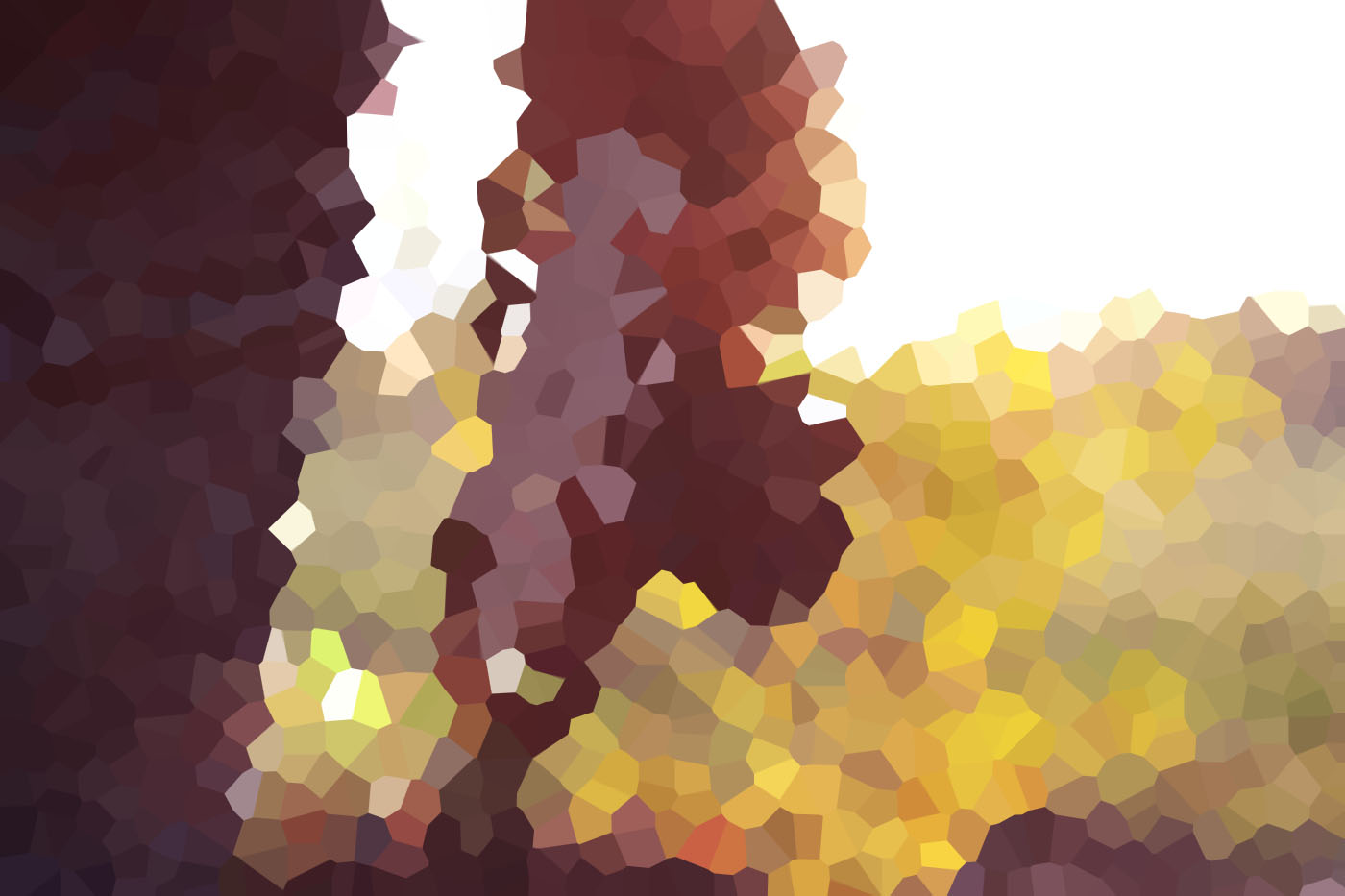 photo-1446410320700-66a291be8daa